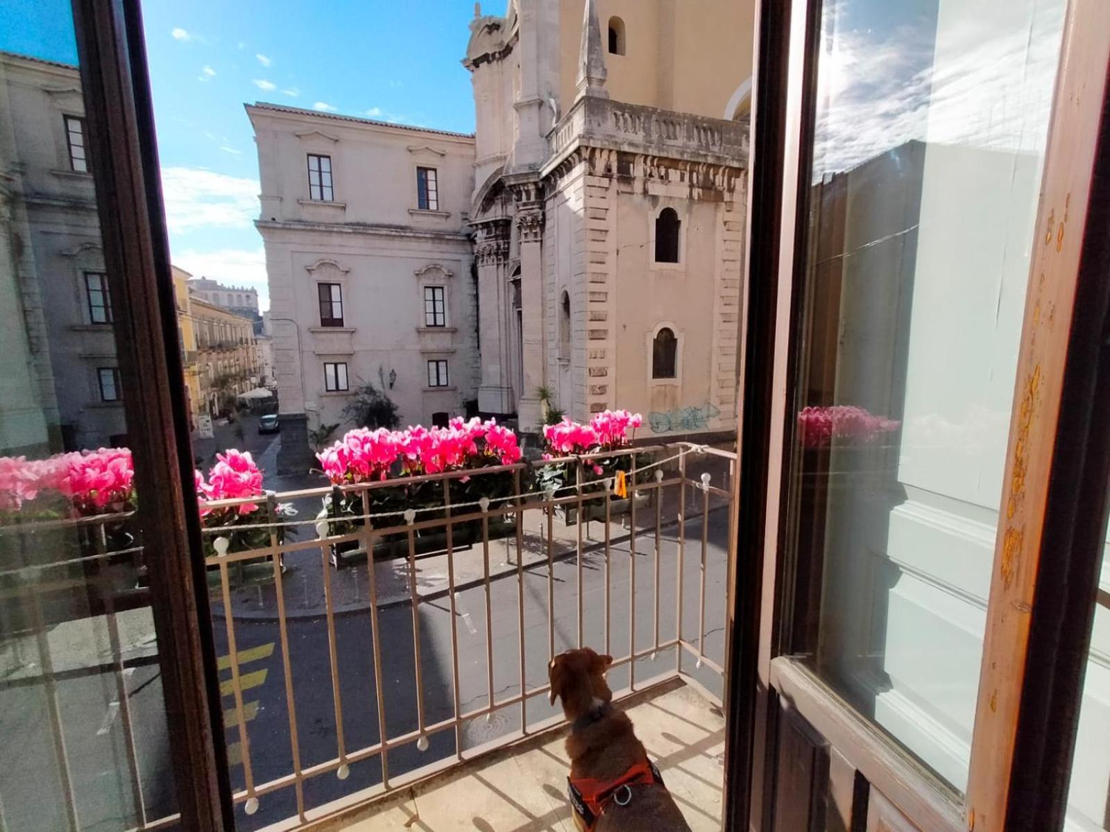 Crociferi B&B Catania Luaran gambar